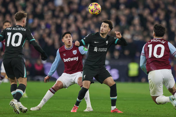 将阿雷奥拉 将阿雷奥拉