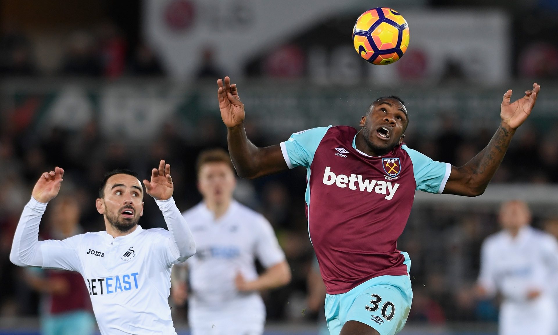 他们的视野 他们的视野